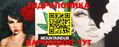 СК Кунгур