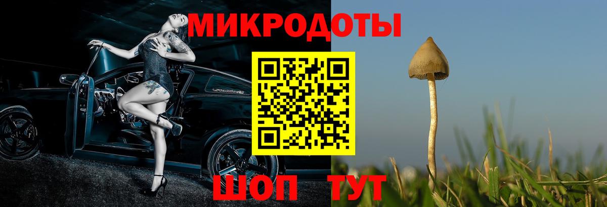 Галлюциногенные грибы Cubensis  Псилоцибиновые грибы Magic Shrooms  где купить наркоту  Егорьевск  Вход с VPN 